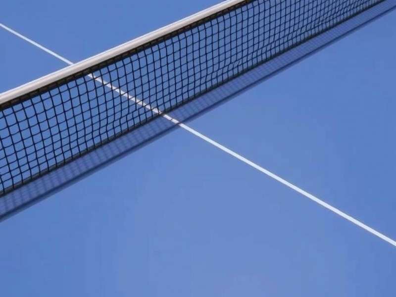 Elite Table Tennis Pro Controls